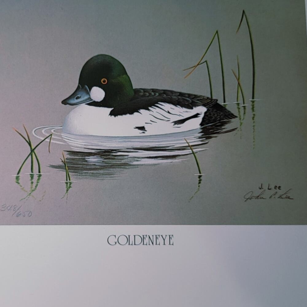 John P Lee 1983 Goldeneye Duck Unframed print #348/650 Pencil Signed 11⅛ x 10¼